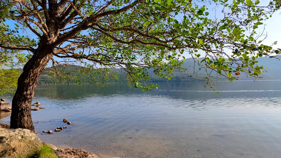 lago-de-sanabria-4
